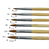 Set 6 pensule pentru acril 