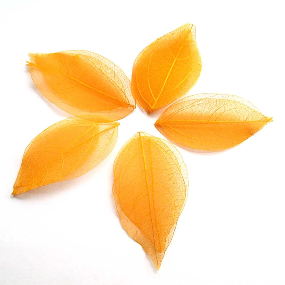 Frunza unghii - portocaliu